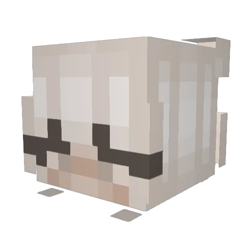 celeryt Minecraft avatar head, 3D render