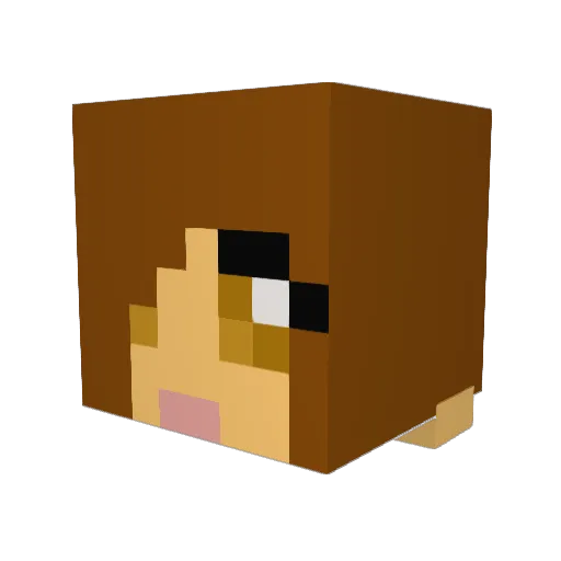 celeste5 Minecraft avatar head, 3D render