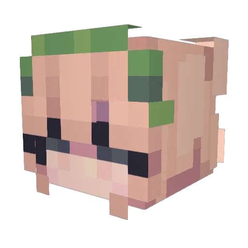 celestialnash Minecraft avatar head, 3D render