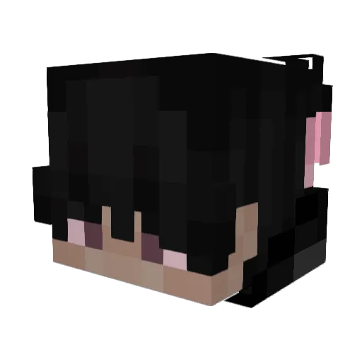 celewee Minecraft avatar head, 3D render