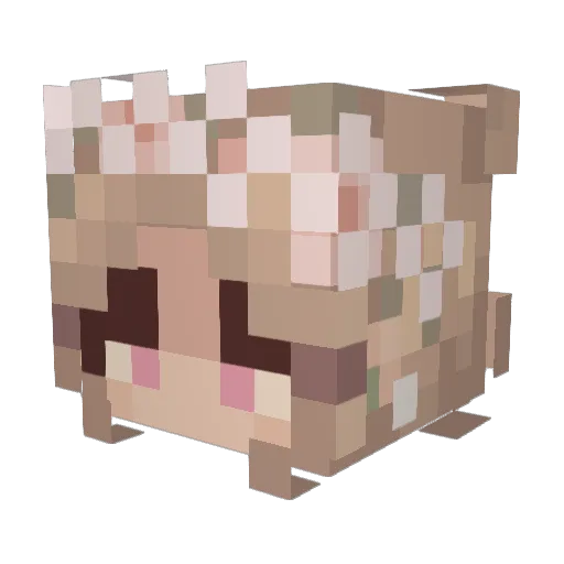 celia_18b Minecraft avatar head, 3D render