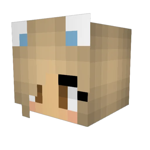 celic Minecraft avatar head, 3D render