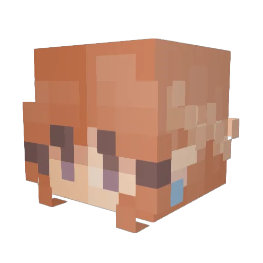 celinerrr Minecraft avatar head, 3D render