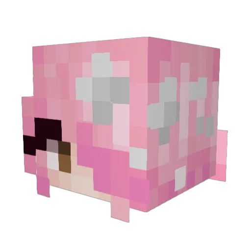 celkie Minecraft avatar head, 3D render