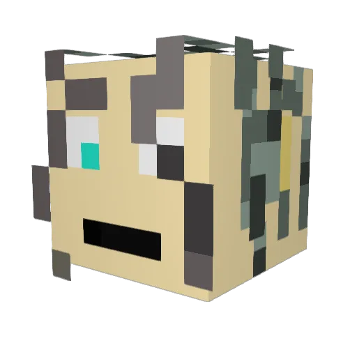cell88 Minecraft avatar head, 3D render