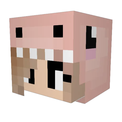 cellitina Minecraft avatar head, 3D render