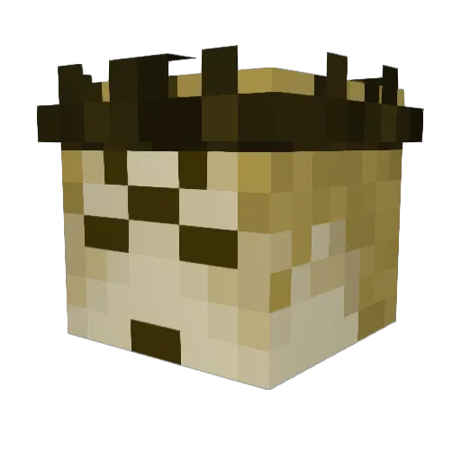 cellslabyrinth Minecraft avatar head, 3D render