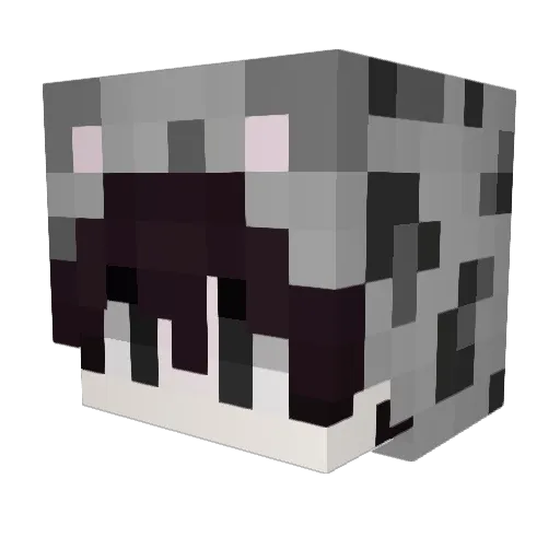 celst1an Minecraft avatar head, 3D render