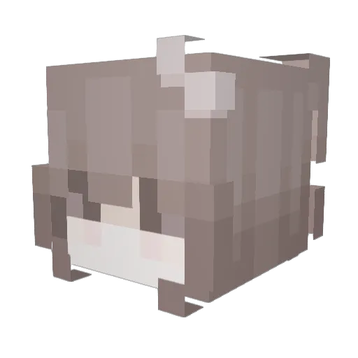 celxste Minecraft avatar head, 3D render