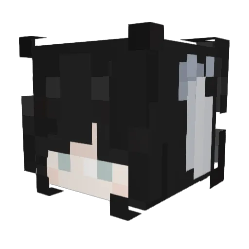 cem1337_tKg8vrCE Minecraft avatar head, 3D render