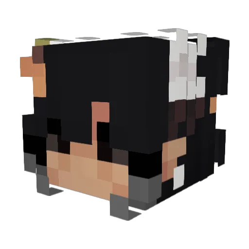 cemetaria Minecraft avatar head, 3D render