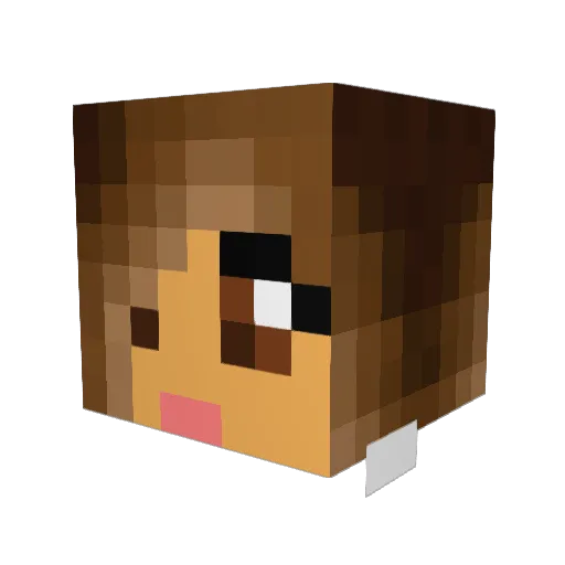 centaurider6 Minecraft avatar head, 3D render