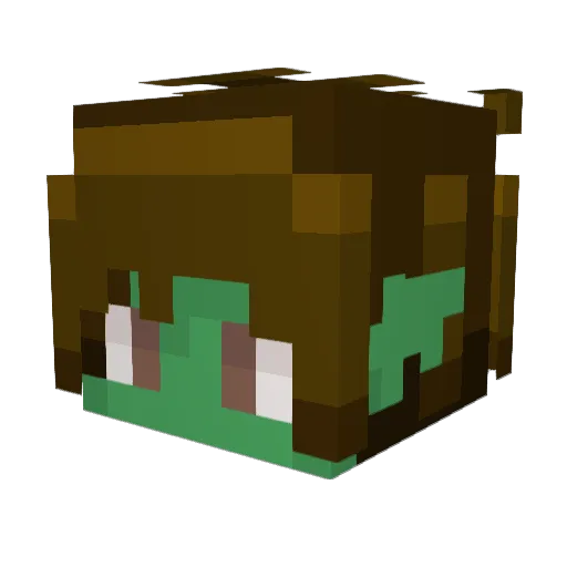 cepthat Minecraft avatar head, 3D render