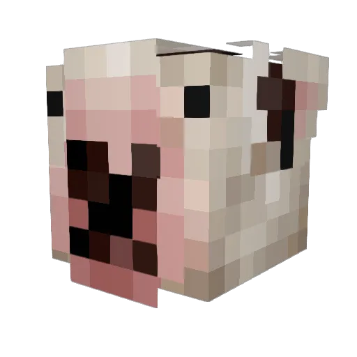 cerimari Minecraft avatar head, 3D render