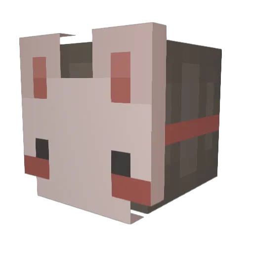 cerooner Minecraft avatar head, 3D render