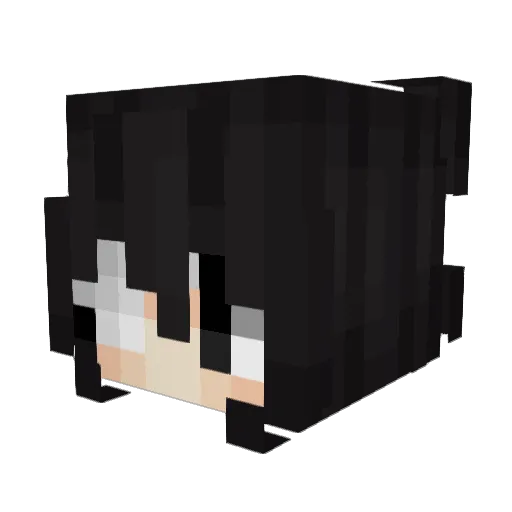certificais Minecraft avatar head, 3D render