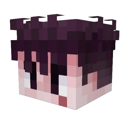 cervi420 Minecraft avatar head, 3D render