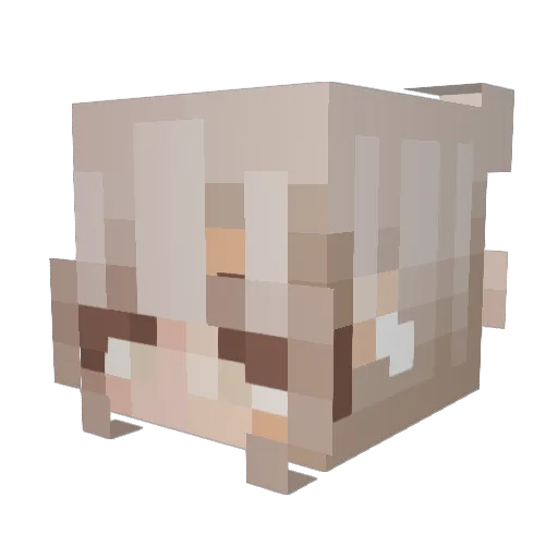 ceskaaa Minecraft avatar head, 3D render