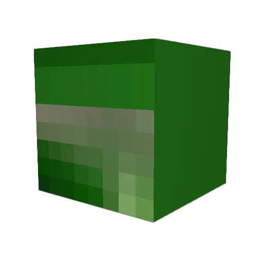 cest1111 Minecraft avatar head, 3D render