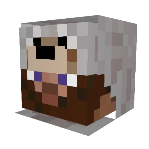 cestjf Minecraft avatar head, 3D render