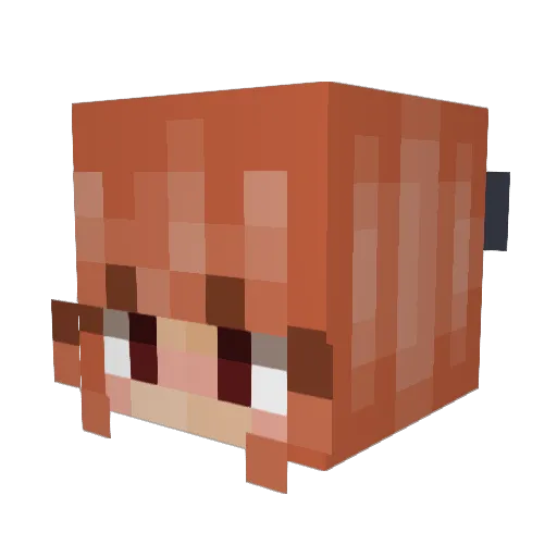 cetorinx Minecraft avatar head, 3D render
