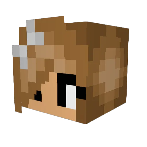 cevans26 Minecraft avatar head, 3D render