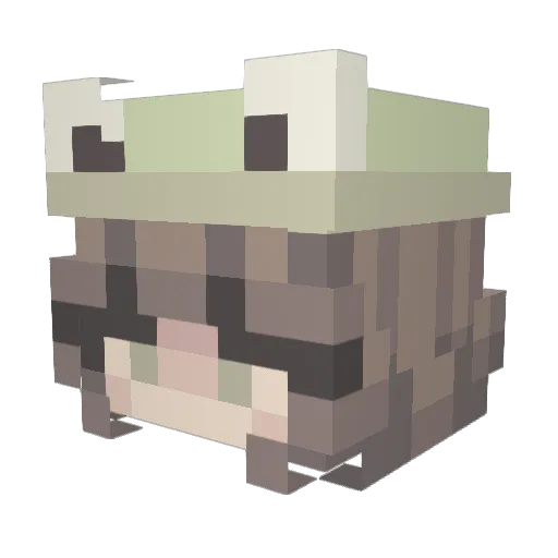 cfb0nez Minecraft avatar head, 3D render