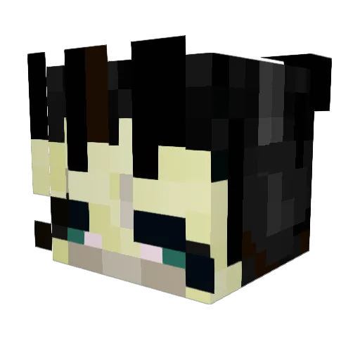 cfdj Minecraft avatar head, 3D render