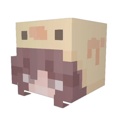 cfrmhawaii Minecraft avatar head, 3D render