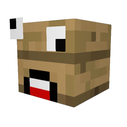 cg_koala Minecraft avatar head, 3D render
