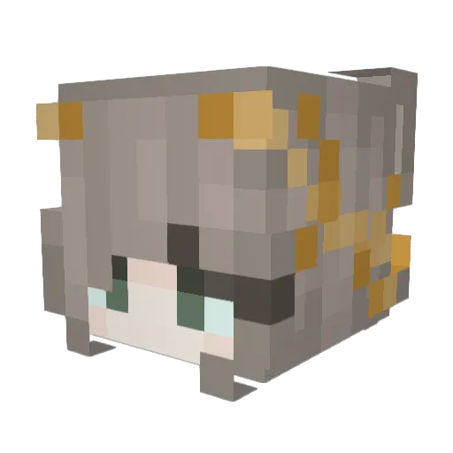 ch0fas Minecraft avatar head, 3D render