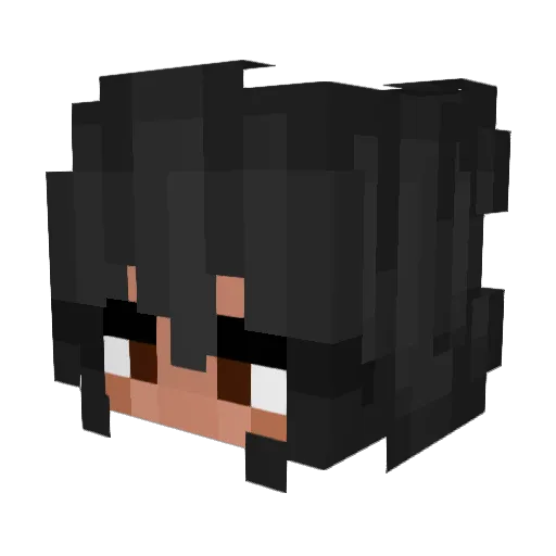 ch1b Minecraft avatar head, 3D render