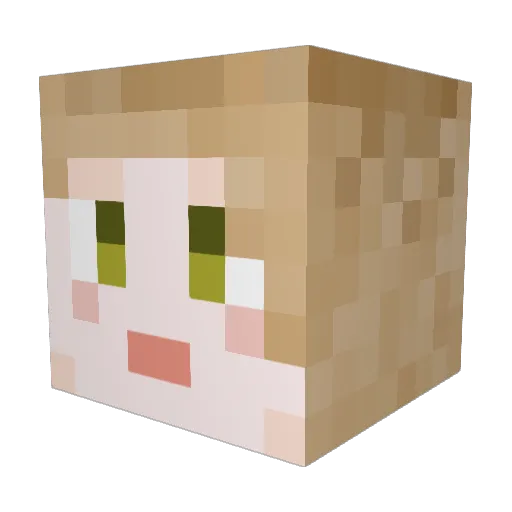 ch1ckenb0t Minecraft avatar head, 3D render