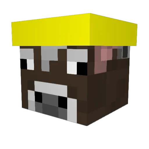 ch2005 Minecraft avatar head, 3D render