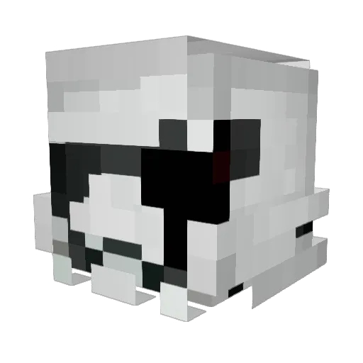 ch3wbacca1 Minecraft avatar head, 3D render