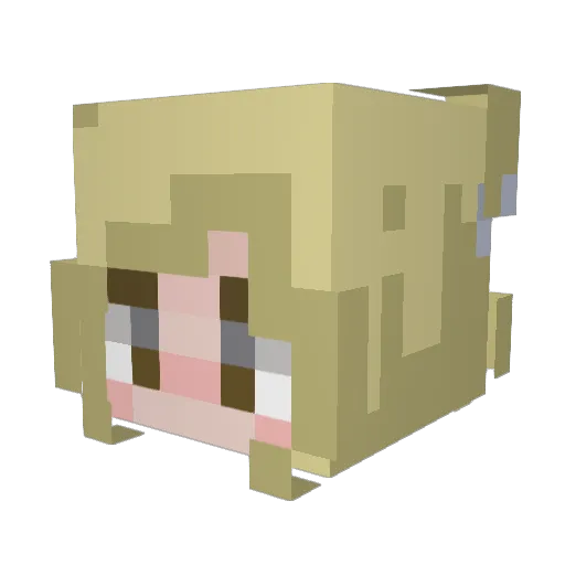ch4rl1z3 Minecraft avatar head, 3D render