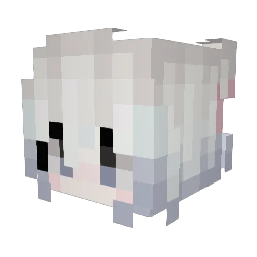 ch_0yn_ Minecraft avatar head, 3D render