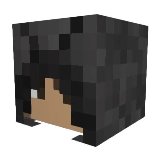 cha0sMagpie Minecraft avatar head, 3D render