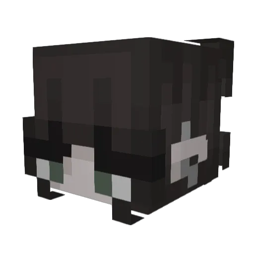 chaaalmers Minecraft avatar head, 3D render