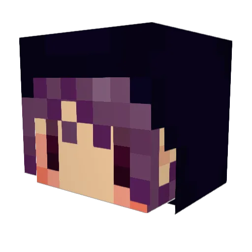chaamu Minecraft avatar head, 3D render