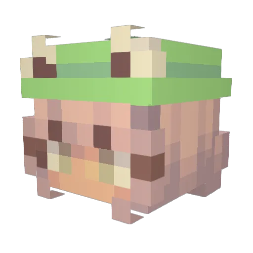 chacar Minecraft avatar head, 3D render