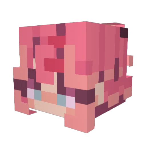 chace_plays Minecraft avatar head, 3D render