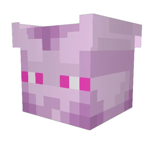 chachareelsmoove Minecraft avatar head, 3D render