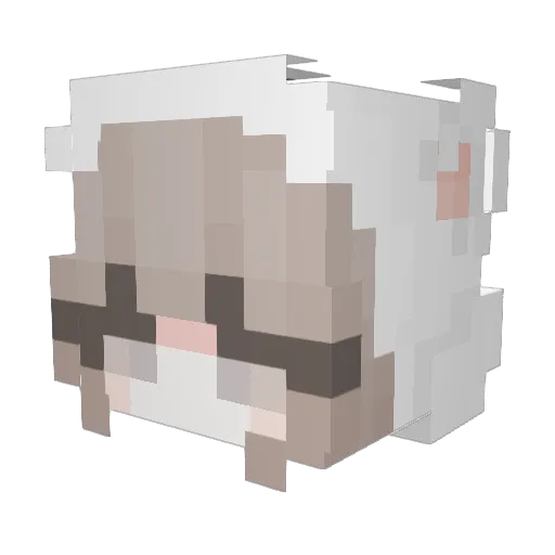 chae_aa Minecraft avatar head, 3D render