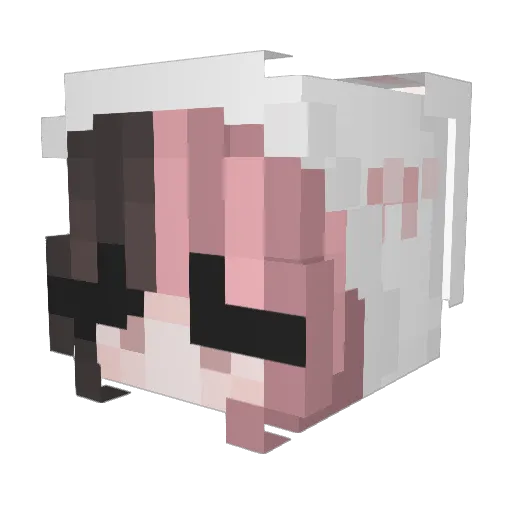 chai333 Minecraft avatar head, 3D render