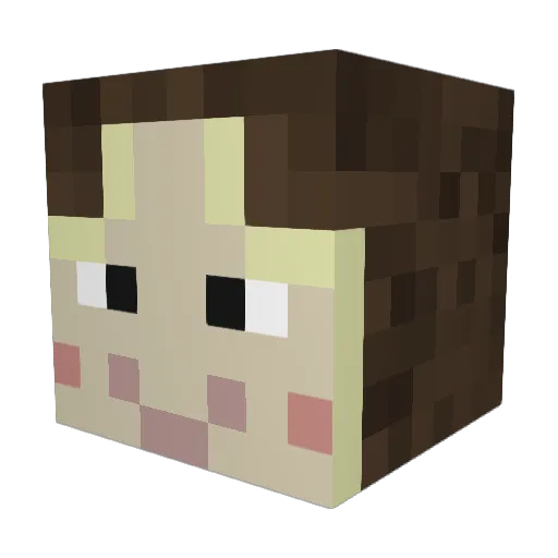 chairbear2405 Minecraft avatar head, 3D render