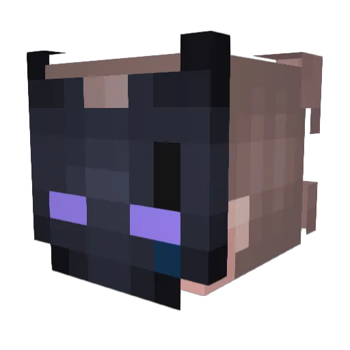 chalun337 Minecraft avatar head, 3D render