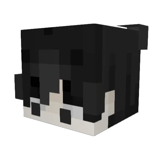 chambita2088 Minecraft avatar head, 3D render