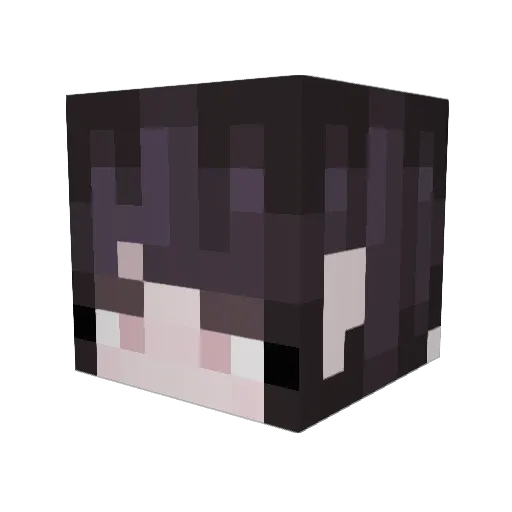chameleonpsycho Minecraft avatar head, 3D render
