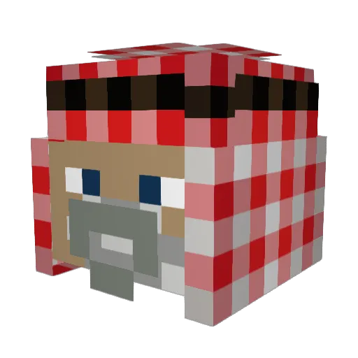 champagne5ohh Minecraft avatar head, 3D render